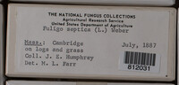 Image Associated With the Occurence